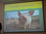 DSC07785.JPG